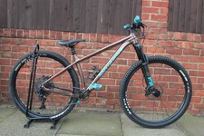 Santa Cruz Chameleon - Size