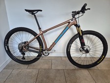 Santa Cruz Carbon Chameleon