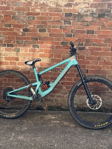 Santa cruz bronson - cruz, c