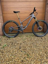 Custom Santa Cruz Tallboy XL