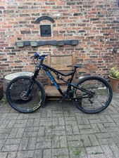 Santa Cruz Bronson Al Large